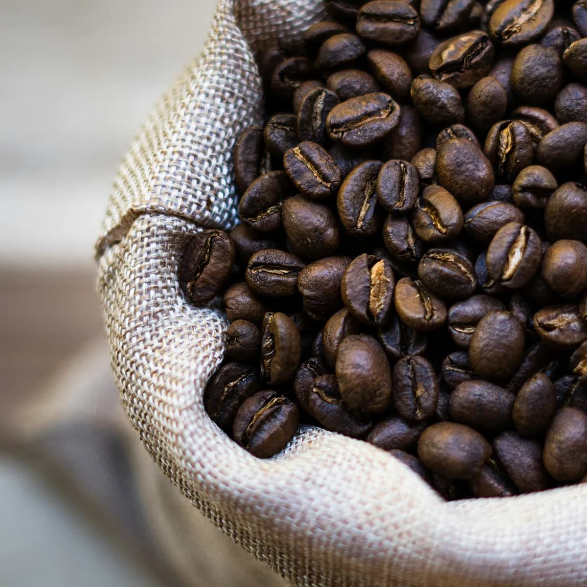 Wholesale specialty coffee crafted by Dose