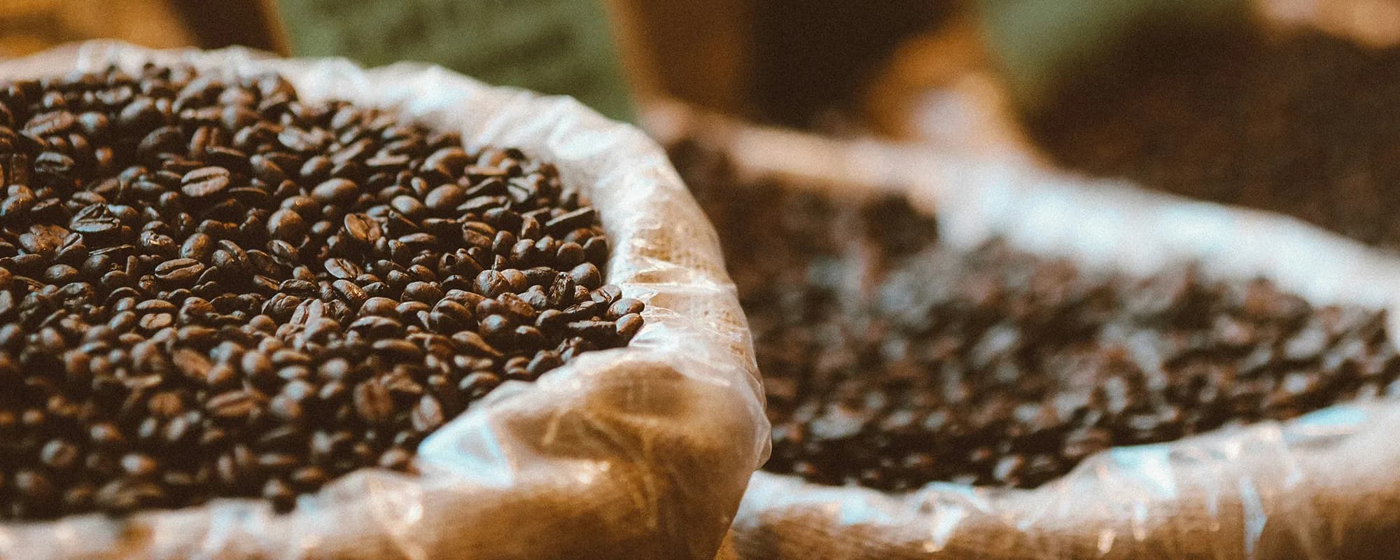 Wholesale Specialty Coffee in New Jersey | Dose Coffee