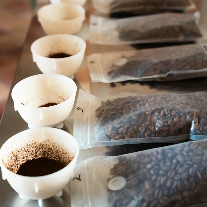 Coffee samples ready for cupping