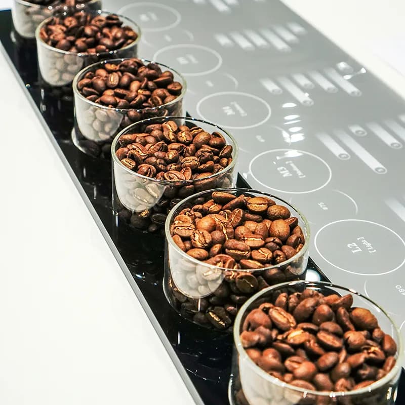 Flight of roasted coffee samples