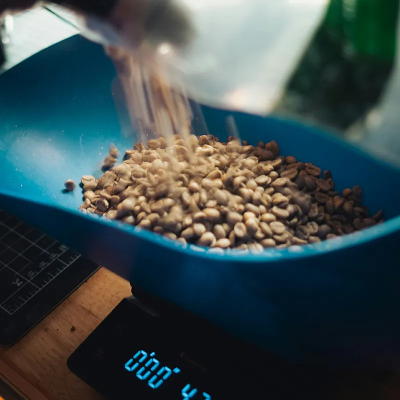 Measuring specialty green coffee